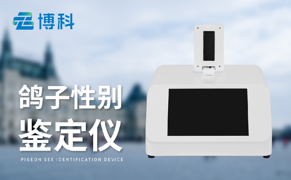 鸽子性别鉴别仪
